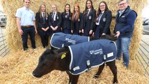 Dovea Genetics, Thurles hosted five schools for unique calf rearing competition