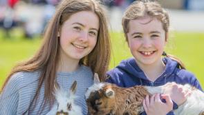 Hugely popular annual Tipperary Field Evening on this Friday - why not pop along?