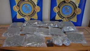 War on drugs! Garda battle against drugs yields spectacular results in Tipperary