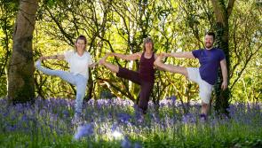 Fancy a bit of Tipperary peace and quiet this coming weekend