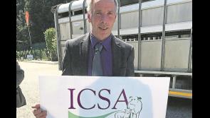 Sheep farmers suffering as prices here fall well behind other countries 