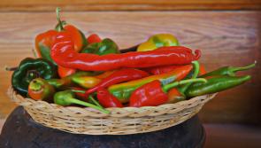 Gingergirl: A little spice and a lot of flavour with Mexican food