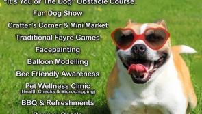 Mo Chara's Pawfest  is back for 2019!