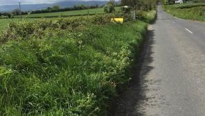 Tipperary Council Council urged to repair signposts