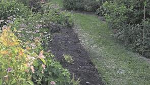 Garville Garden in Co Tipperary to hold a Charity Open Day