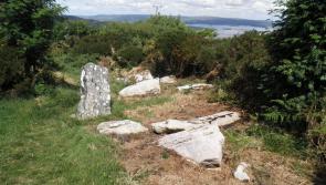 Tipperary heritage site among seven chosen for 'adoption'