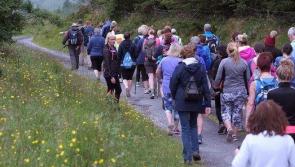 Nenagh Walking Club takes in stunning views around Galtymore