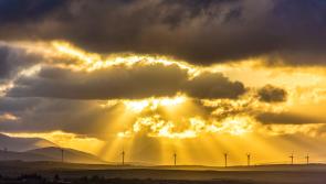Cabragh Wetlands: The long journey home
