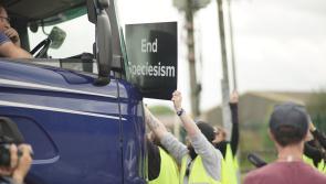 Animals rights protest underway in Roscrea