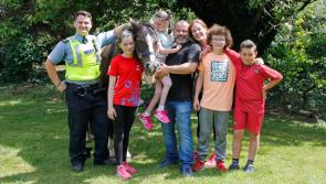Celebrations as stolen pony returns to Clonmel     family