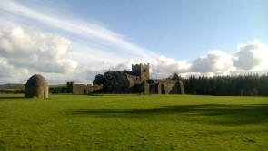 Cabragh Wetlands: Re-wilding the Tipperary landscape