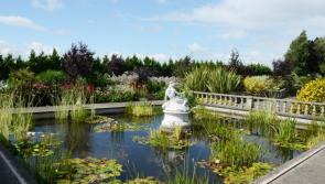 Open Garden hosted by Johnny Bourke, Clonmore