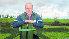Tipperary man calls for Brexit aid package to benefit dairy farmers