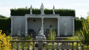 Open Garden hosted by Johnny Bourke in Clonmore this Sunday