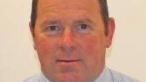 Cllr Andy Moloney warns of increase in Lymes disease in Tipperary 