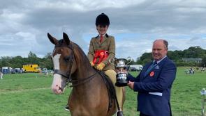 Young Tipperary rider to compete at Dublin Horse Show