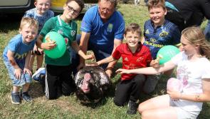 North Tipperary Agricultural Show in pictures