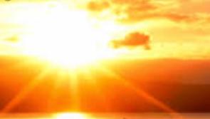 Hoping for Golden sunshine for rescheduled Tipperary Field Evening this Friday!