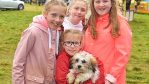 Falling beef prices  a concern for all at Bansha Show