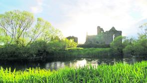 A golden island in Tipperary that's beautiful for a summer's walk or picnic!