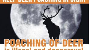 Campaign targets the illegal killing of wild deer