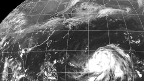 Typhoon Hagibis results in cancellation of two Rugby World Cup matches 