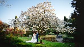 Anner Hotel Thurles offers a welcoming and friendly atmosphere