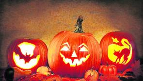 Spooktacular events across the premier county 