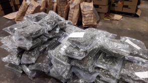 Tipperary dairy farmer linked to organised crime jailed over €730,000 cannabis haul