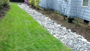 Gardening with James Vaughan: Use French drains to dry your garden