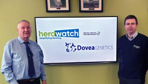 Tipperary's Dovea Genetics and Herdwatch join forces to launch new initiative