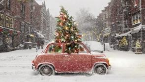 People in Tipperary can recycle their Christmas tree for free at  centres around the county