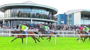 Tipperary trainers eye up prizes galore on Irish EBF Ballyhane Stakes Day at Naas 
