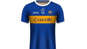 Good representation of club on Tipperary Ladies Football Under 16 Panel