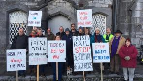 Environmental hedgegrow  protest   by Tipperary group highlights campaign for action 