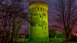 Cllr Seamus  Morris calls for clarification on lighting iconic Tipperary castle