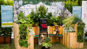 Calling all Tipperary creative amateur gardeners to apply for Bord Bia Bloom 2020!