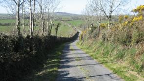 Tipperary members of Hedgerows Ireland to participate in Dail   protest