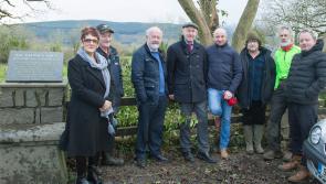 Ambitious plan launched to create a new Kickham Tree in Mullinahone