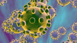 Horse Racing Ireland implement new protocols to continue in operation during the Covid-19 pandemic