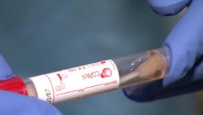 Ireland had no 'excess deaths' during Covid-19 pandemic amid new research