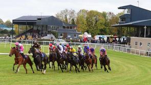 Tips for today's races at Thurles 
