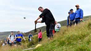 Suggestions for books and films for Tipperary sports fans to read and watch during isolation 