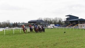 How proud Pierce Molony would have been at Thurles Racecourse on Saturday last