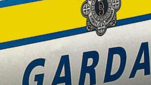 Theft of fuel from tank in New Inn area is under investigation 