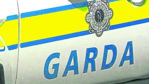 Representative group calls for mandatory driving training for all frontline gardaí