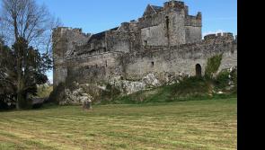 Cahir car park and part of Inch Field to close to public for two days next week due to film production 