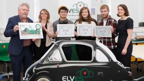 Tipperary students win top awards in Limerick School of Art and Design competition