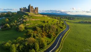 SLIDESHOW: More entries from TipperaryLive 2km photo challenge