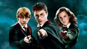 Delve into the magical world of Harry Potter with Tipperary Library Services